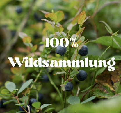 Gefriergetrocknetes Bio-Heidelbeerpulver von whynotvegan?, tiefblaues Fruchtpulver aus 100% wilden Heidelbeeren, ohne Zusätze, ideal für Smoothies, Joghurt, Backwaren und farbige Desserts