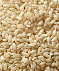 Reisprotein
