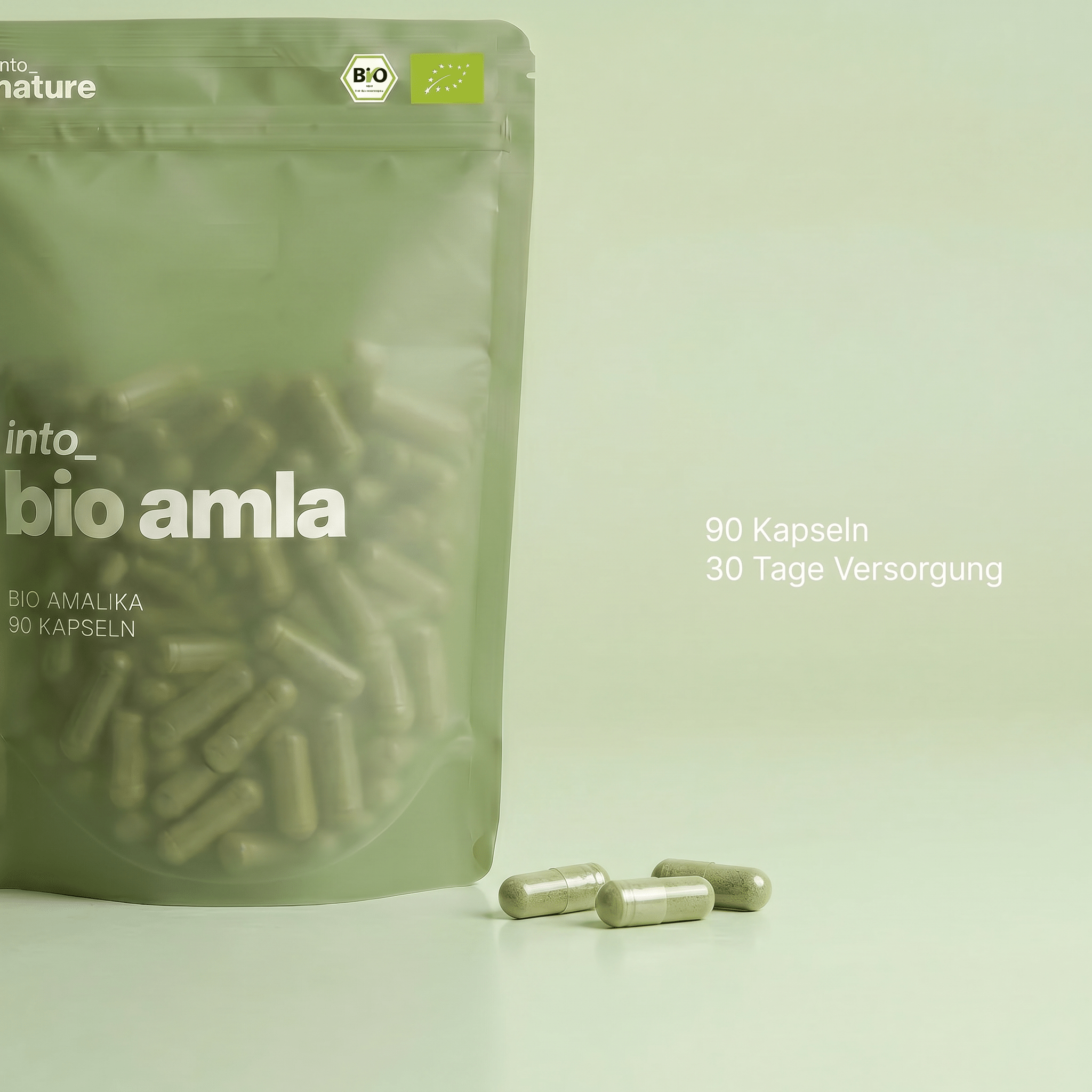 Bio Amla Pulver Kapseln in der Vorratspackung für 30 Tage