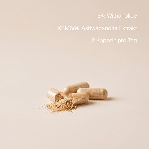 Bio Ashwagandha KSM-66 Kapseln aus indischer Schlafbeere