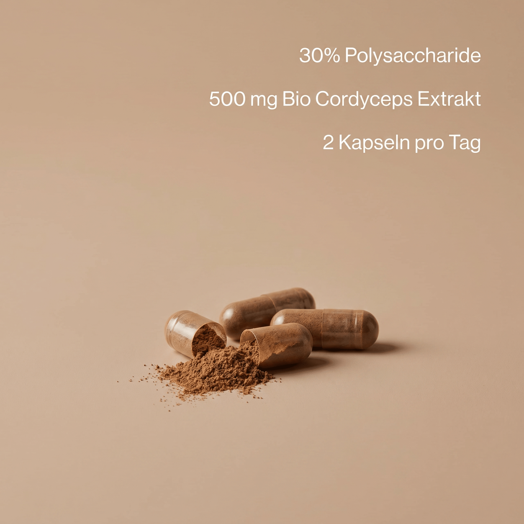 Cordyceps-Extrakt-Kapseln mit 500 mg Extrakt und 30 Prozent Polysacchariden
