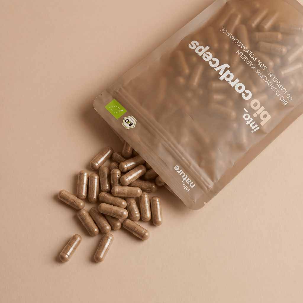 Geöffnete Packung Bio-Cordyceps-Extrakt mit ausgelegten Kapseln