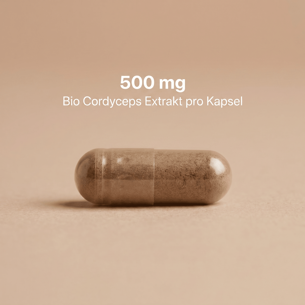 Bio-Cordyceps-Extrakt-Kapsel mit 500 mg Extrakt pro Kapsel