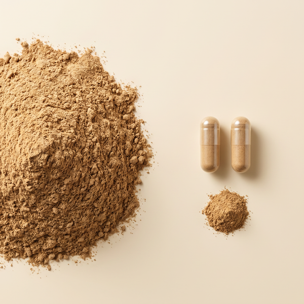 Bio-Cordyceps-Extrakt als Pulver und in pflanzlichen Kapseln