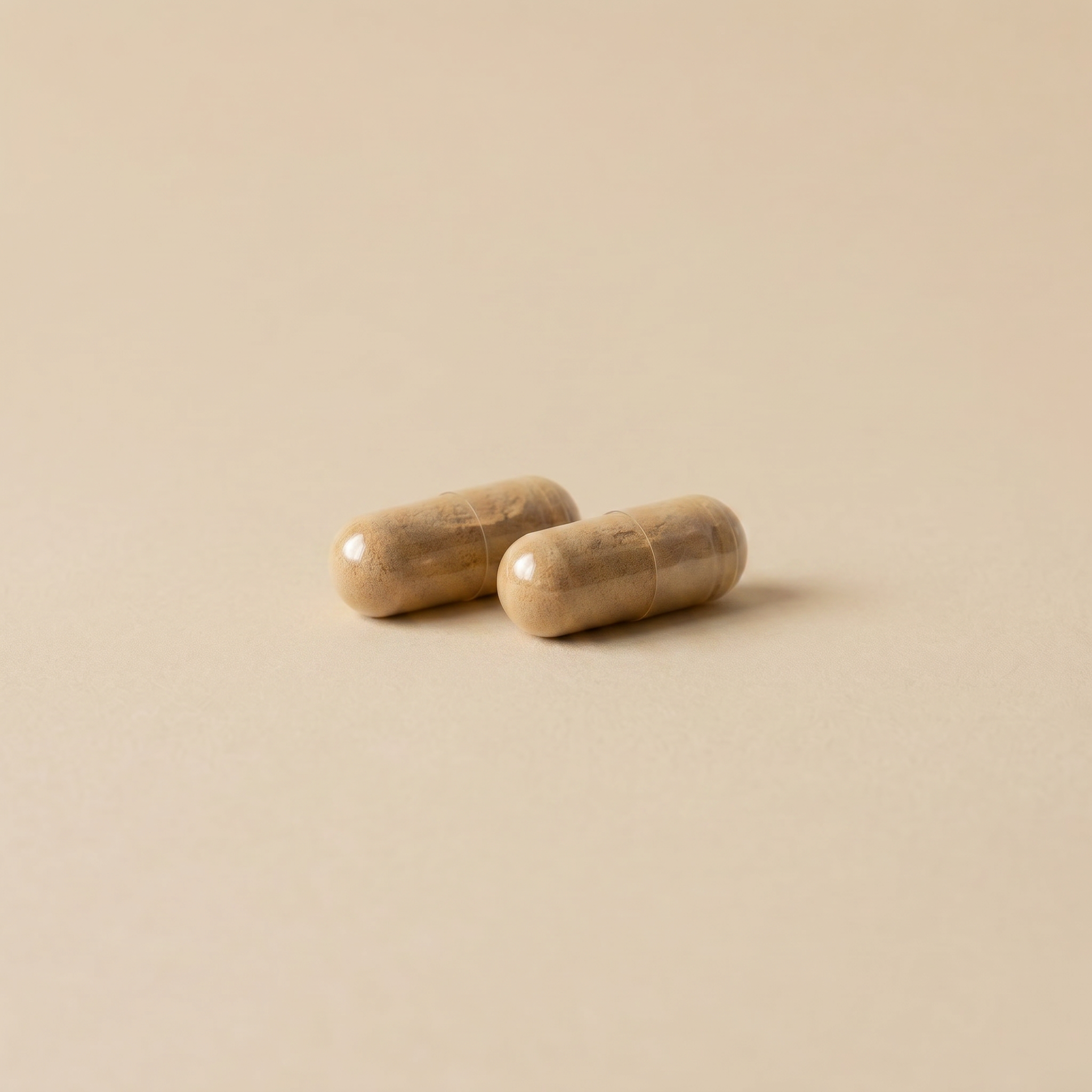 Zwei Kapseln mit standardisiertem Bio-Cordyceps-Extrakt