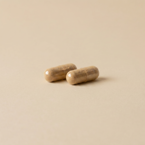 Zwei Kapseln mit standardisiertem Bio-Cordyceps-Extrakt
