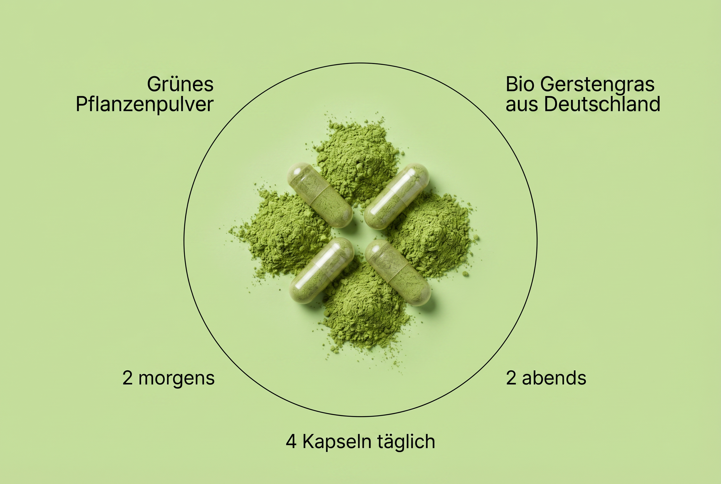 Infografik zu den Vorteilen und zur Dosierung der Bio Gerstengraspulver Kapseln