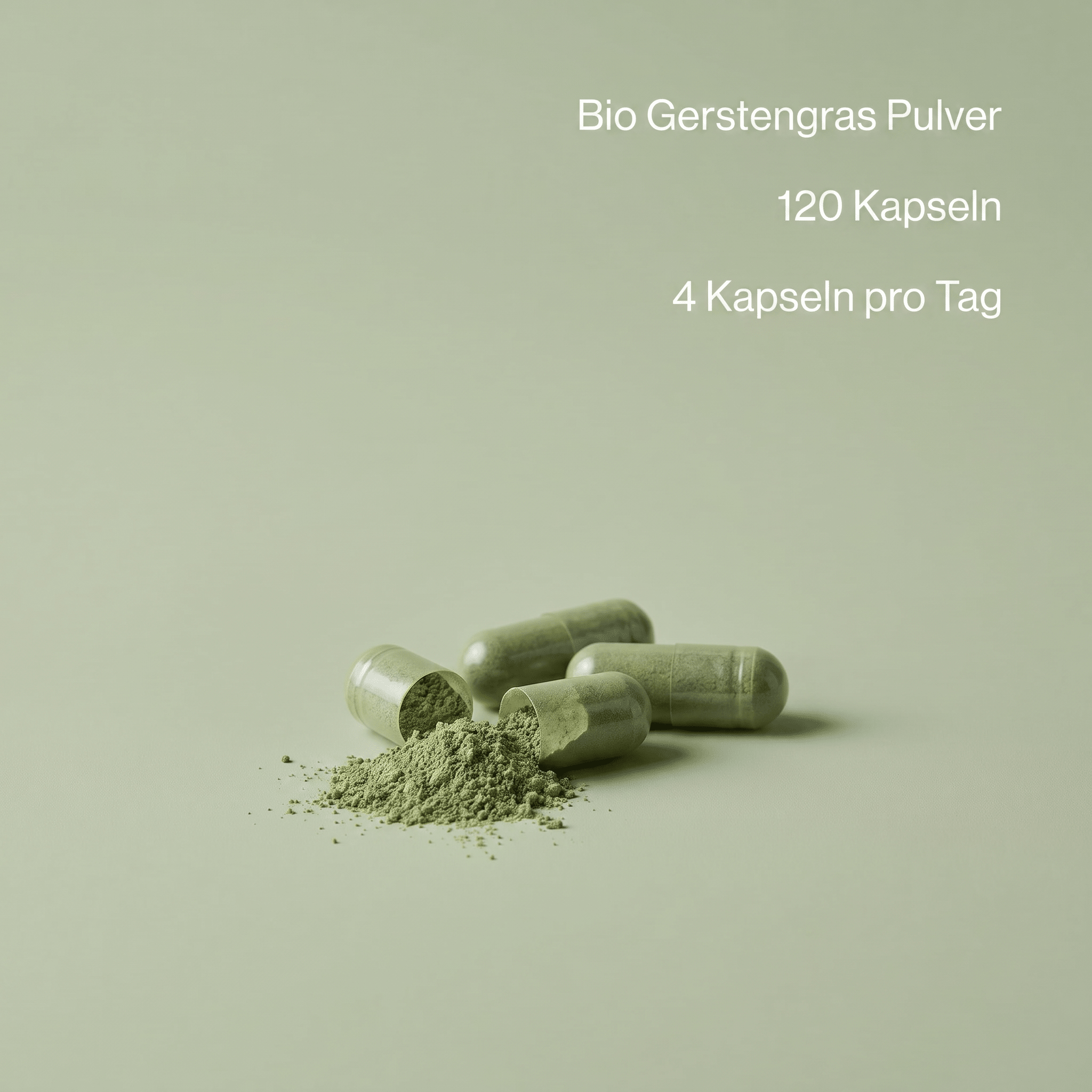 Geöffnete Gerstengras Kapseln zeigen das naturreine, grüne Pulver