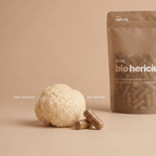 Darstellung eines Hericium-Pilzes mit Extrakt-Kapseln und Produktverpackung