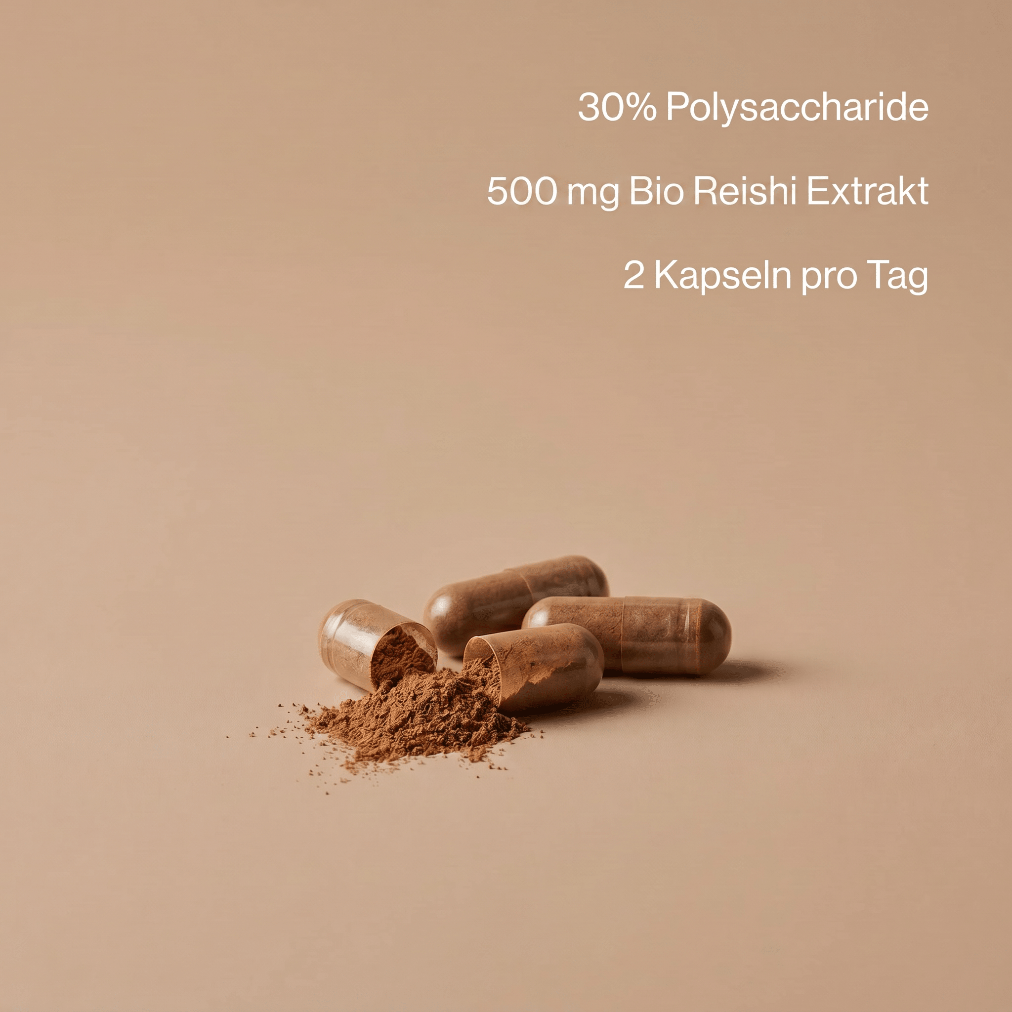 Hericium-Extrakt-Kapseln mit 500 mg Extrakt und 30 Prozent Polysacchariden