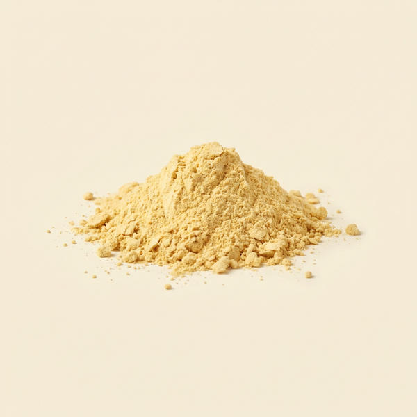 Schonend gefriergetrocknetes, naturreines Bio-Mangopulver