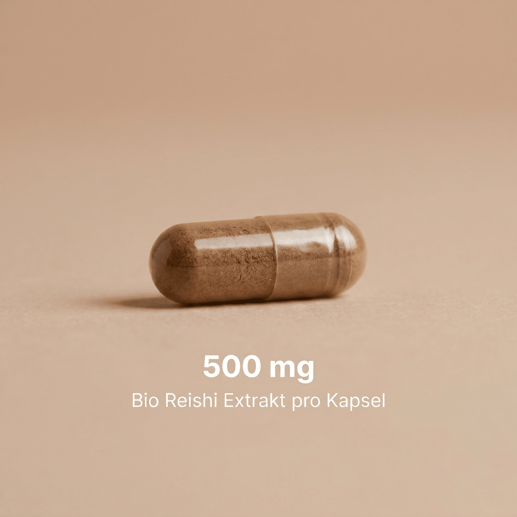 Der echte Reishi Pilz (Glänzender Lackporling) neben den Extrakt Kapseln