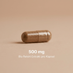 Der echte Reishi Pilz (Glänzender Lackporling) neben den Extrakt Kapseln