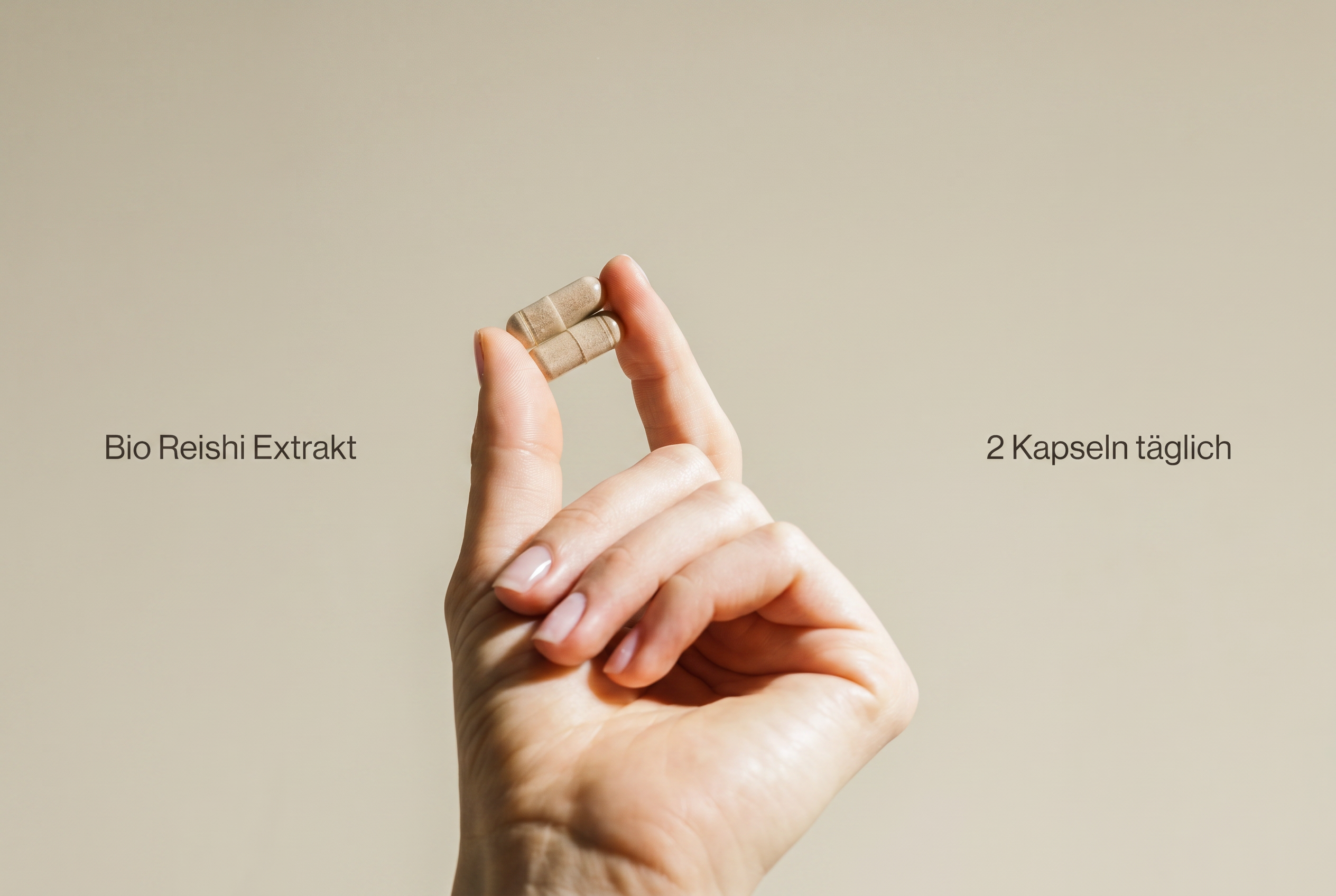 Vegane Bio Reishi Kapseln in der Hand für die tägliche Einnahme