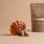 Einnahmeempfehlung: Morgens und abends je eine Bio Reishi Kapsel