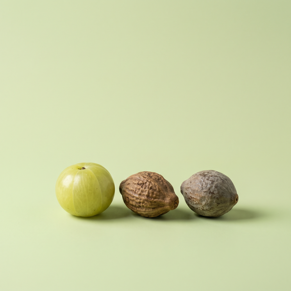 Die drei traditionellen Triphala Früchte: Amalaki, Haritaki und Bibhitaki