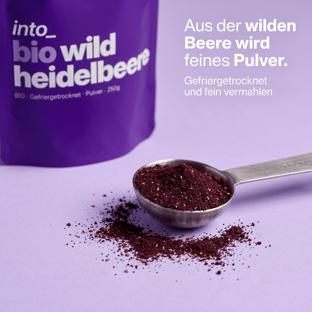 Schonend gefriergetrocknetes Bio-Wildheidelbeerpulver auf einem Löffel portioniert