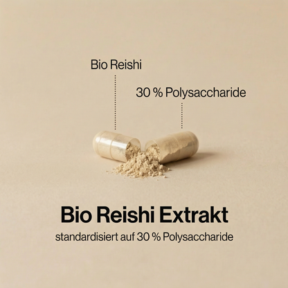 Bio Cordyceps Extrakt Kapseln