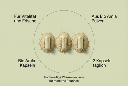 Bio Amla Pulver Kapseln